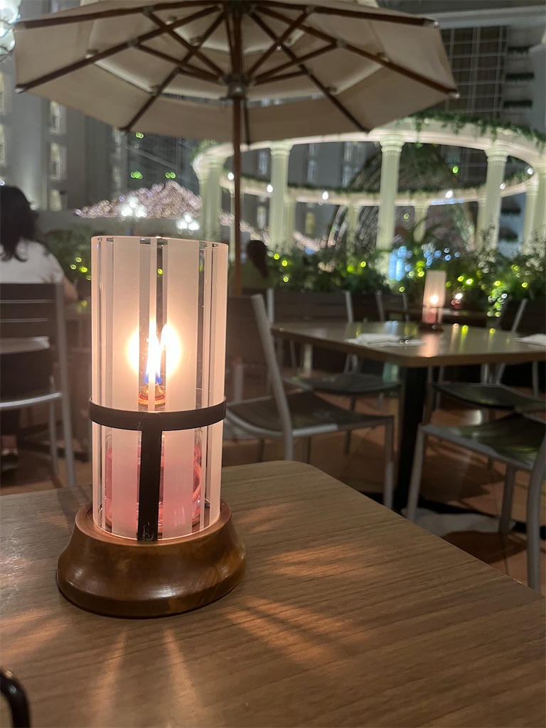 f:id:tsukicat_365:20240225193855j:image