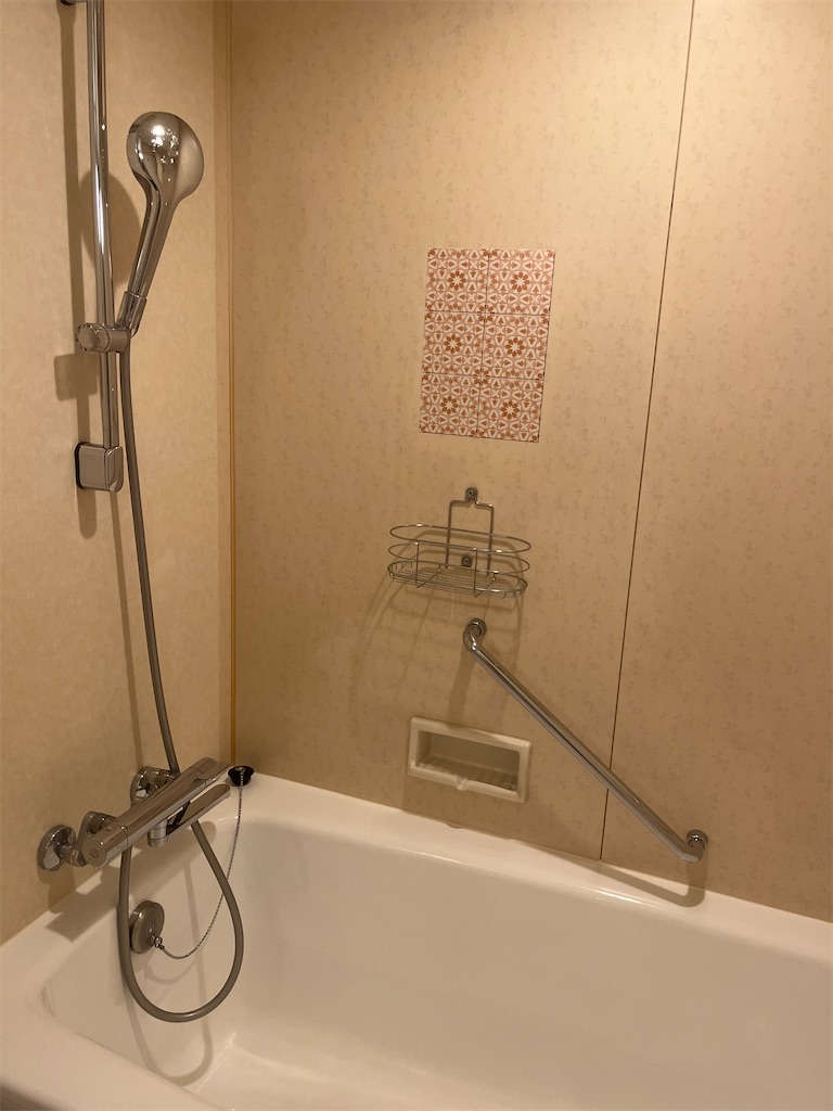 f:id:tsukicat_365:20240225193858j:image