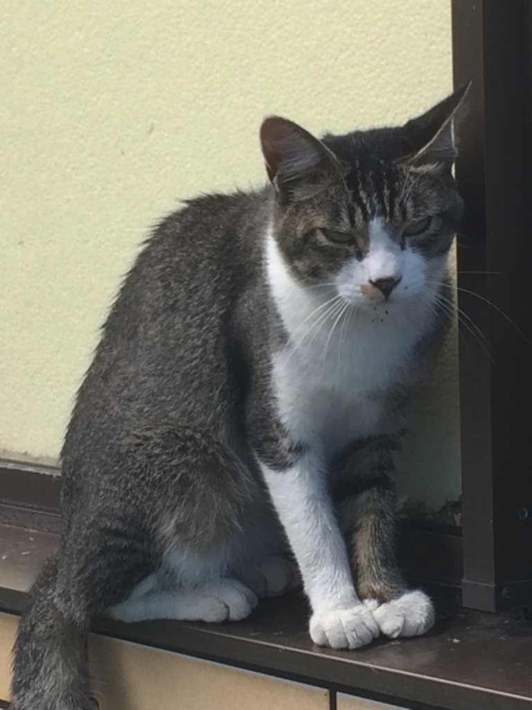 f:id:tsukifune77:20160830112058j:plain