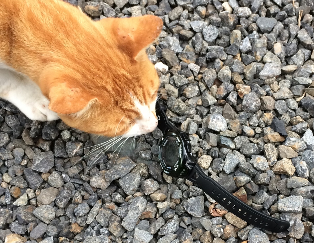 f:id:tsukifune77:20160912185542j:plain