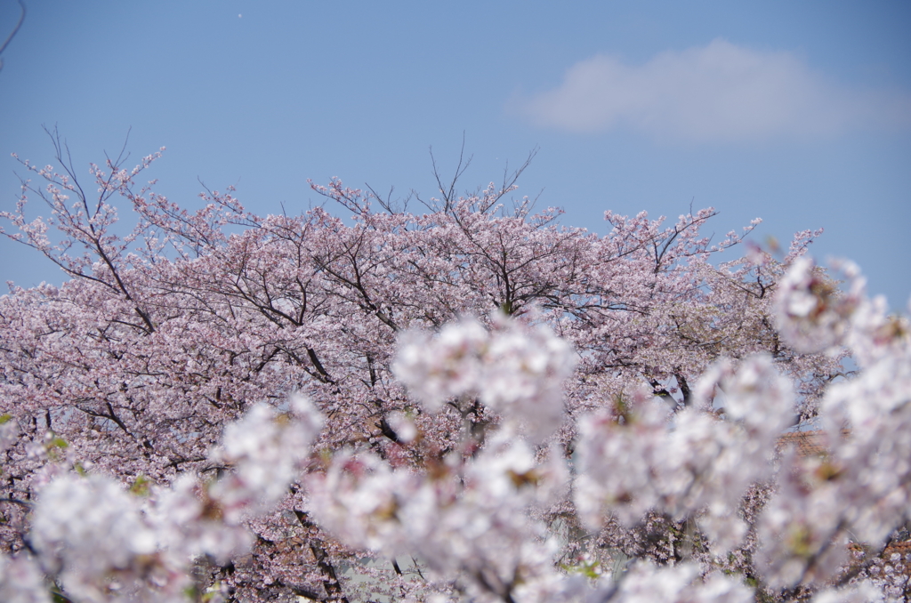 f:id:tsukifune77:20170413202109j:plain