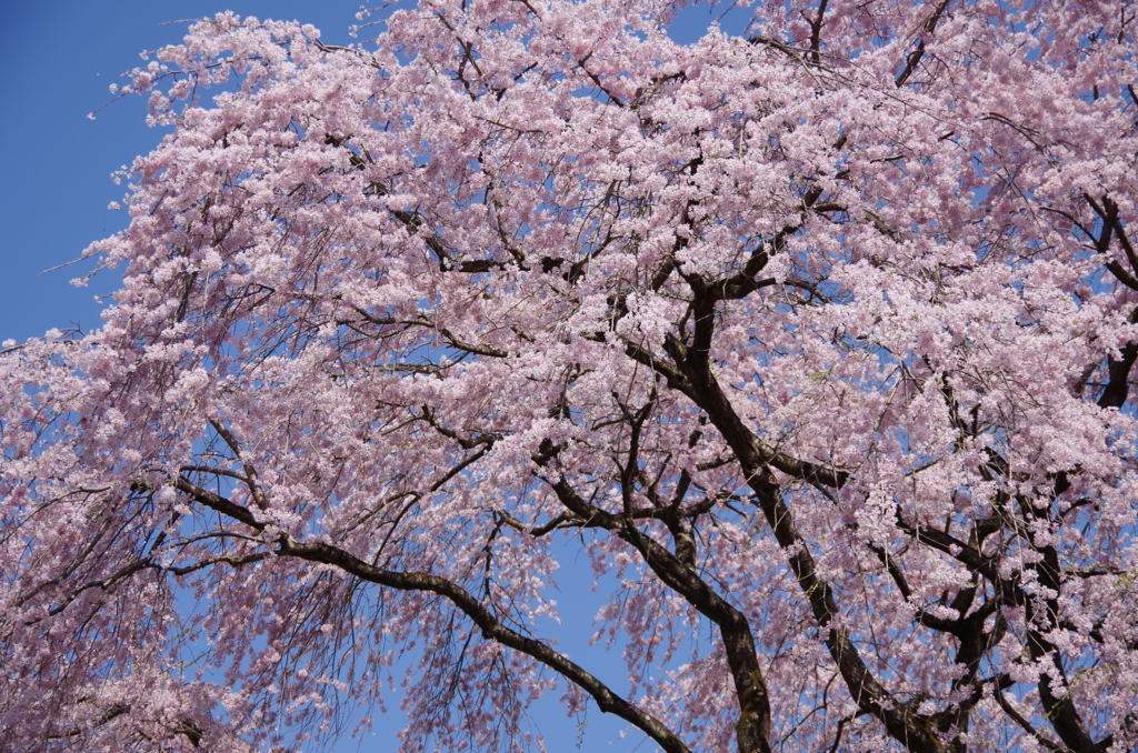 f:id:tsukifune77:20170422112434j:plain