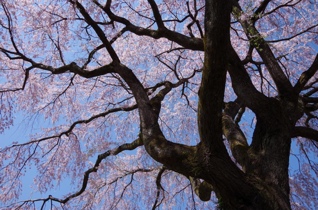 f:id:tsukifune77:20170422112827j:plain