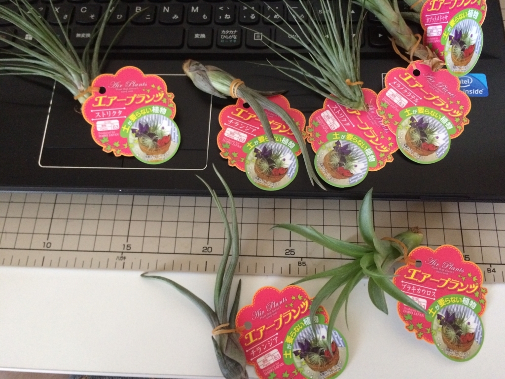 f:id:tsukifune77:20171009210840j:plain f:id:tsukifune77:20171009210840j:plain