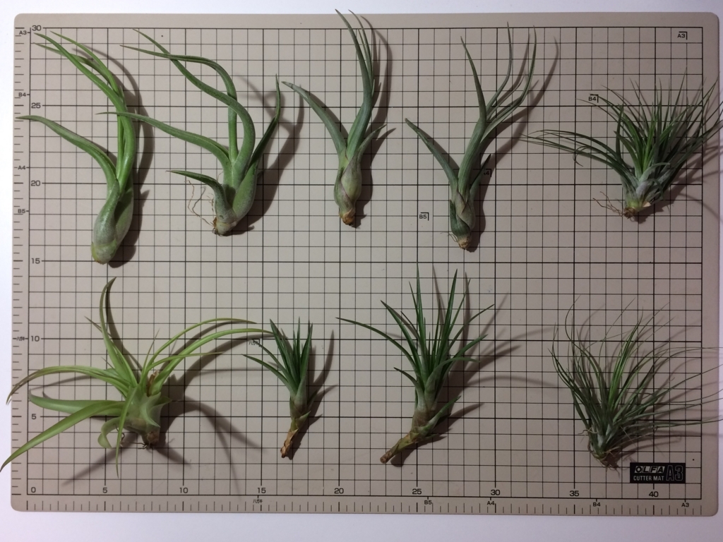 f:id:tsukifune77:20171009211046j:plain f:id:tsukifune77:20171009211046j:plain