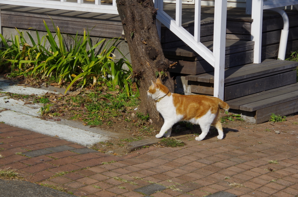 f:id:tsukifune77:20171123100129j:plain