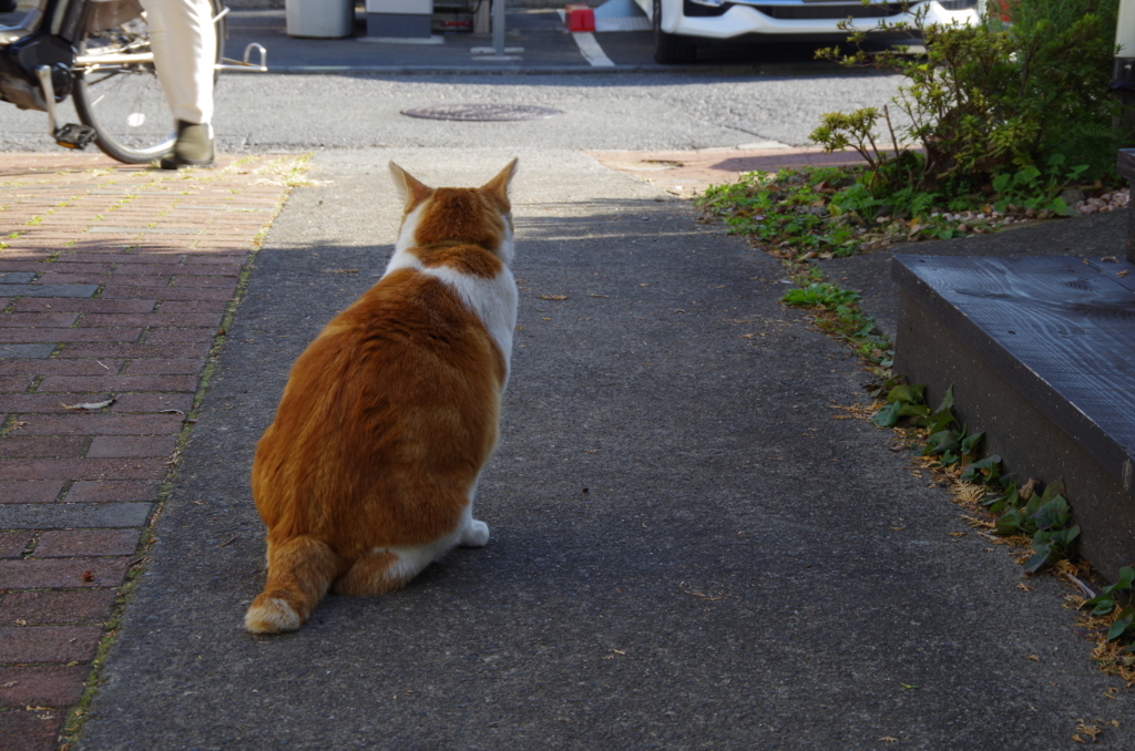 f:id:tsukifune77:20171123100649j:plain