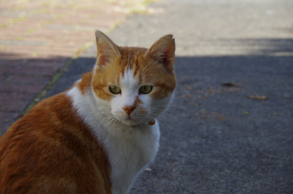 f:id:tsukifune77:20171123101227j:plain