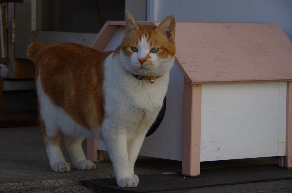 f:id:tsukifune77:20171123101615j:plain