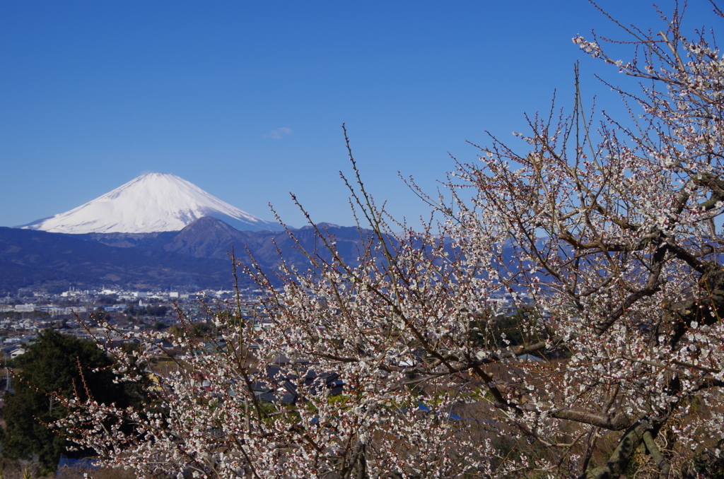 f:id:tsukifune77:20180207171538j:plain
