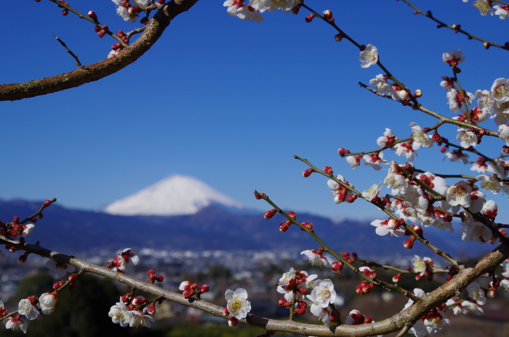 f:id:tsukifune77:20180210160208j:plain