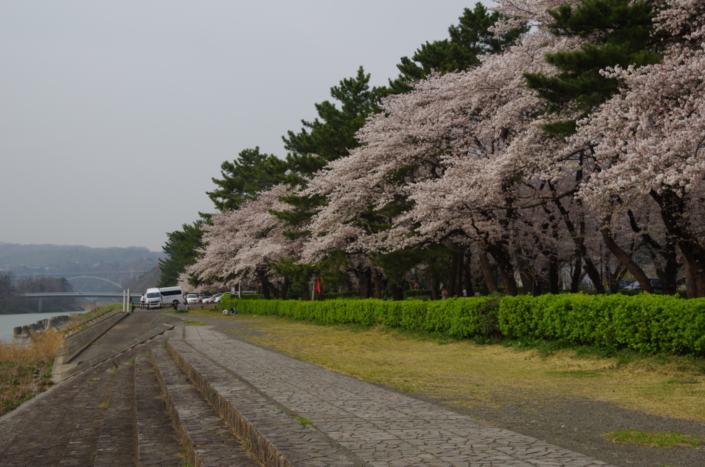 f:id:tsukifune77:20180329162903j:plain