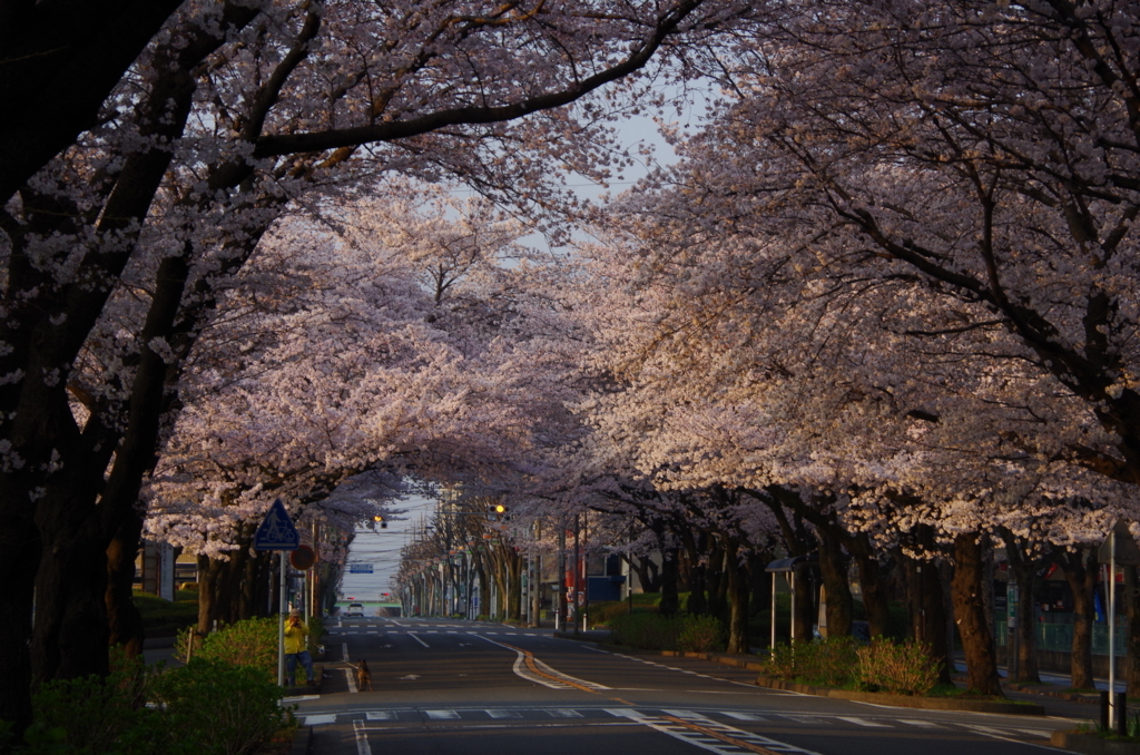 f:id:tsukifune77:20180329164749j:plain