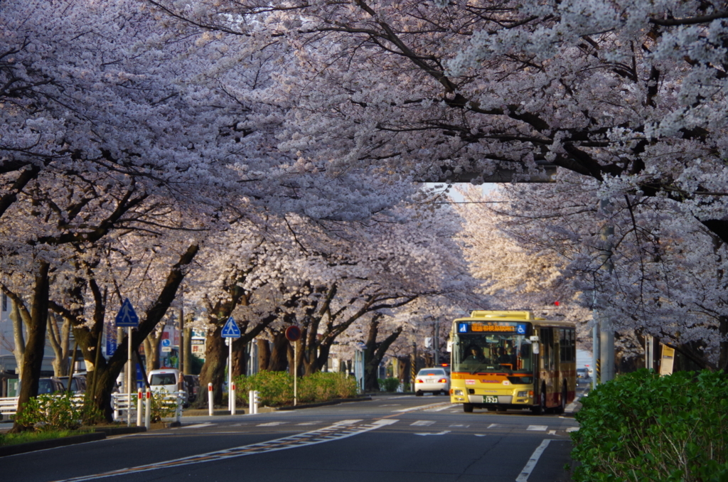 f:id:tsukifune77:20180329165124j:plain
