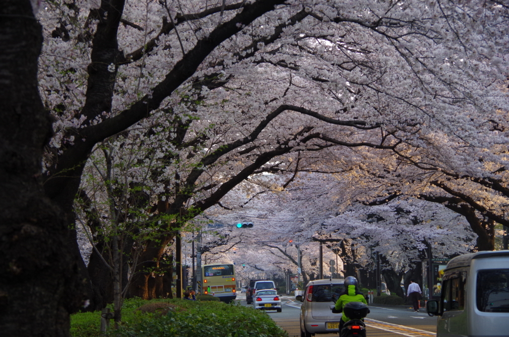 f:id:tsukifune77:20180329165230j:plain