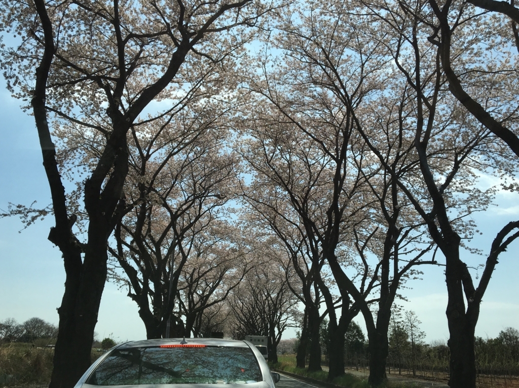 f:id:tsukifune77:20180331104130j:plain