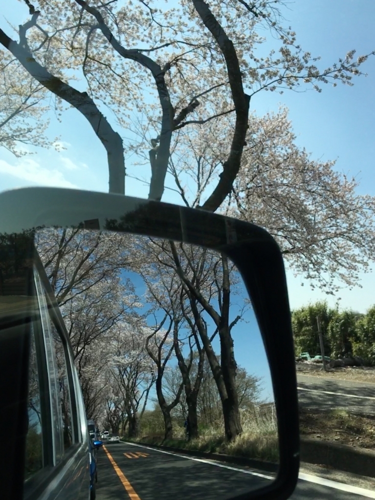 f:id:tsukifune77:20180331104347j:plain