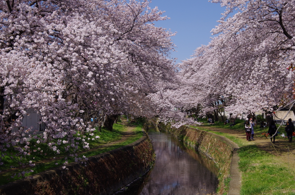 f:id:tsukifune77:20180331105438j:plain