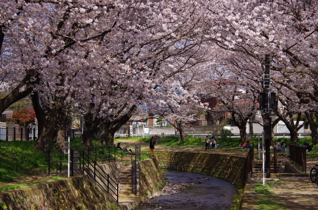 f:id:tsukifune77:20180331110018j:plain