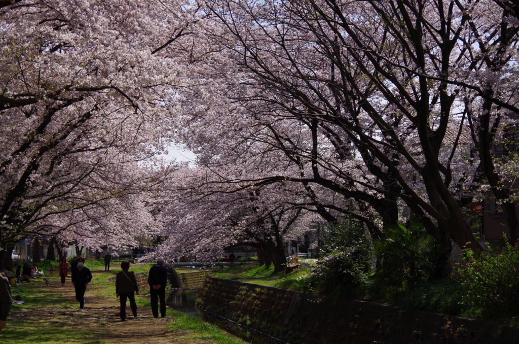 f:id:tsukifune77:20180331110652j:plain