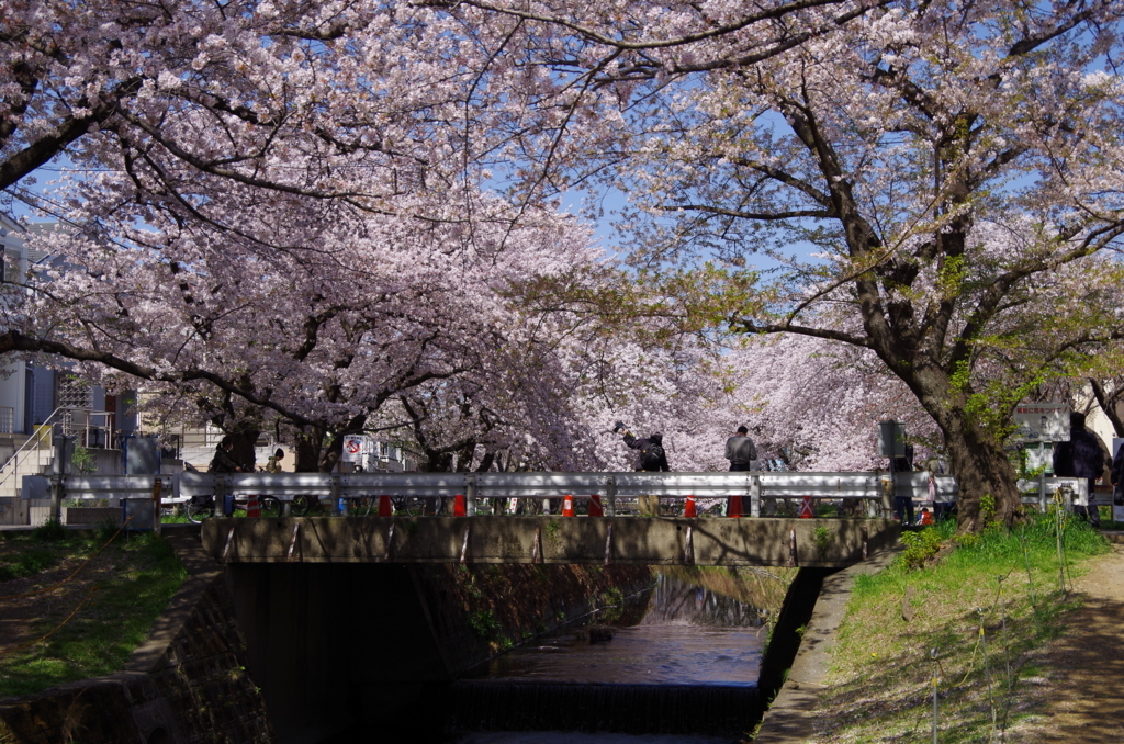 f:id:tsukifune77:20180331110851j:plain