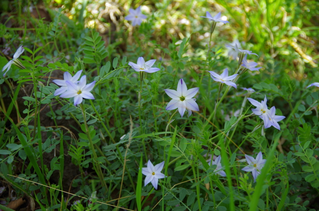 f:id:tsukifune77:20180331111007j:plain