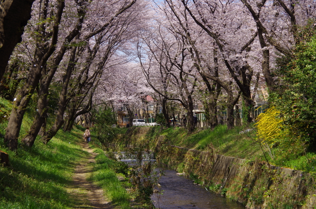 f:id:tsukifune77:20180331111139j:plain