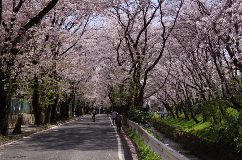 f:id:tsukifune77:20180331111409j:plain