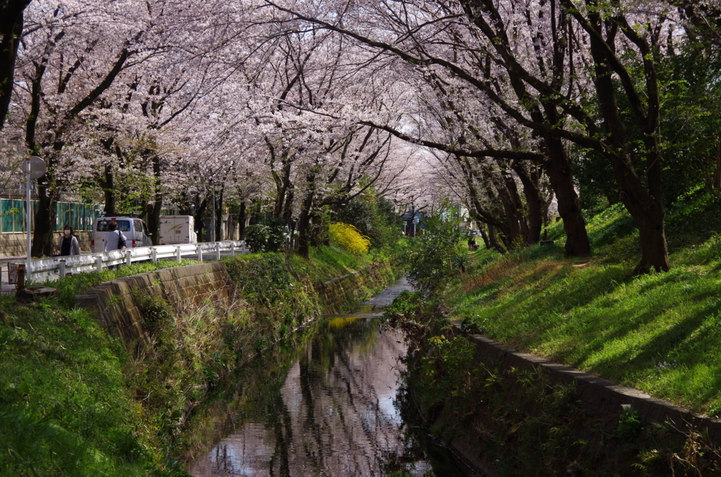 f:id:tsukifune77:20180331112409j:plain