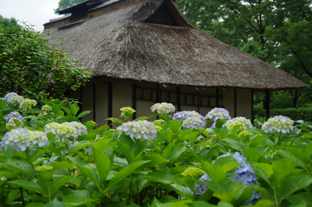 f:id:tsukifune77:20180613184156j:plain