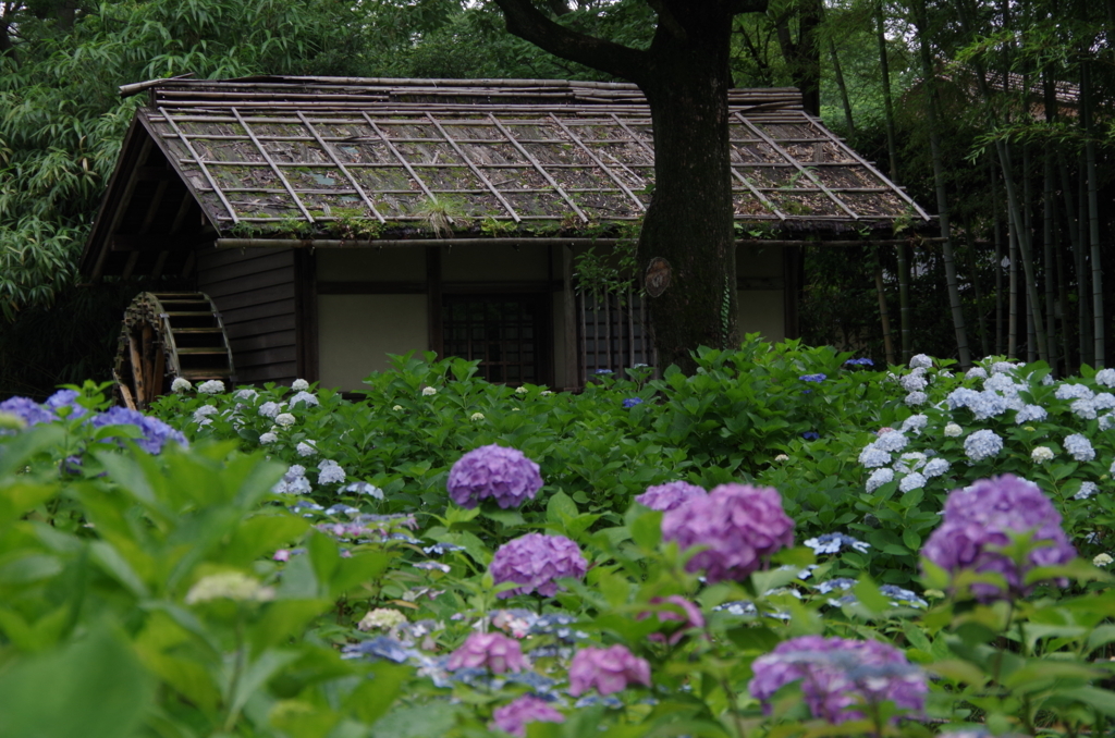 f:id:tsukifune77:20180613184325j:plain