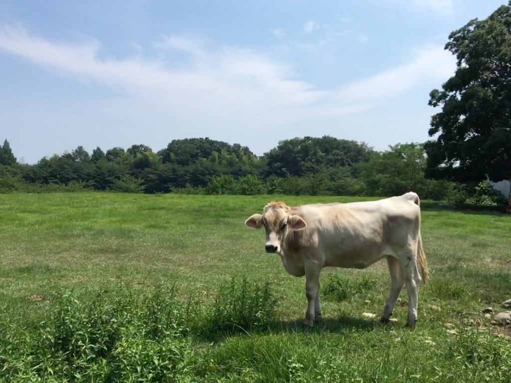 f:id:tsukifune77:20180720002258j:plain