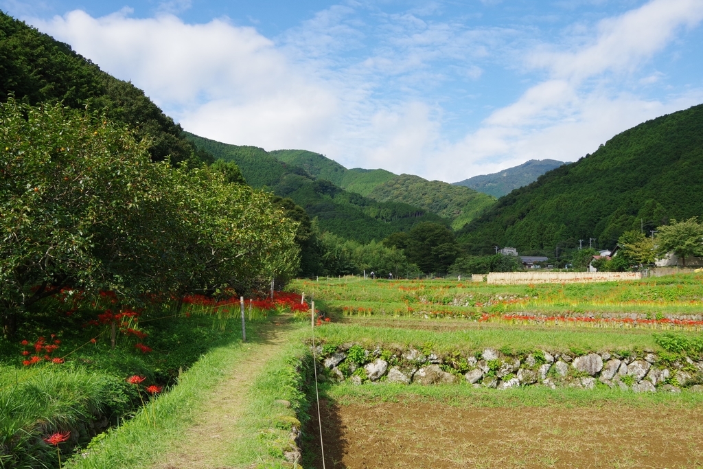 f:id:tsukifune77:20180923180836j:plain