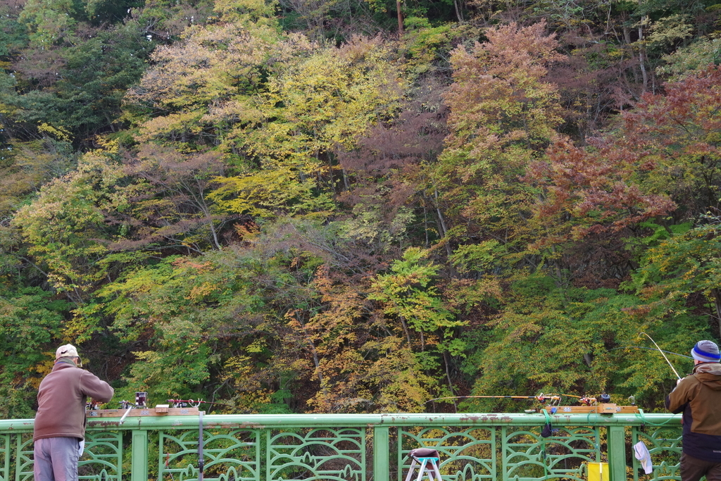 f:id:tsukifune77:20181122191501j:plain