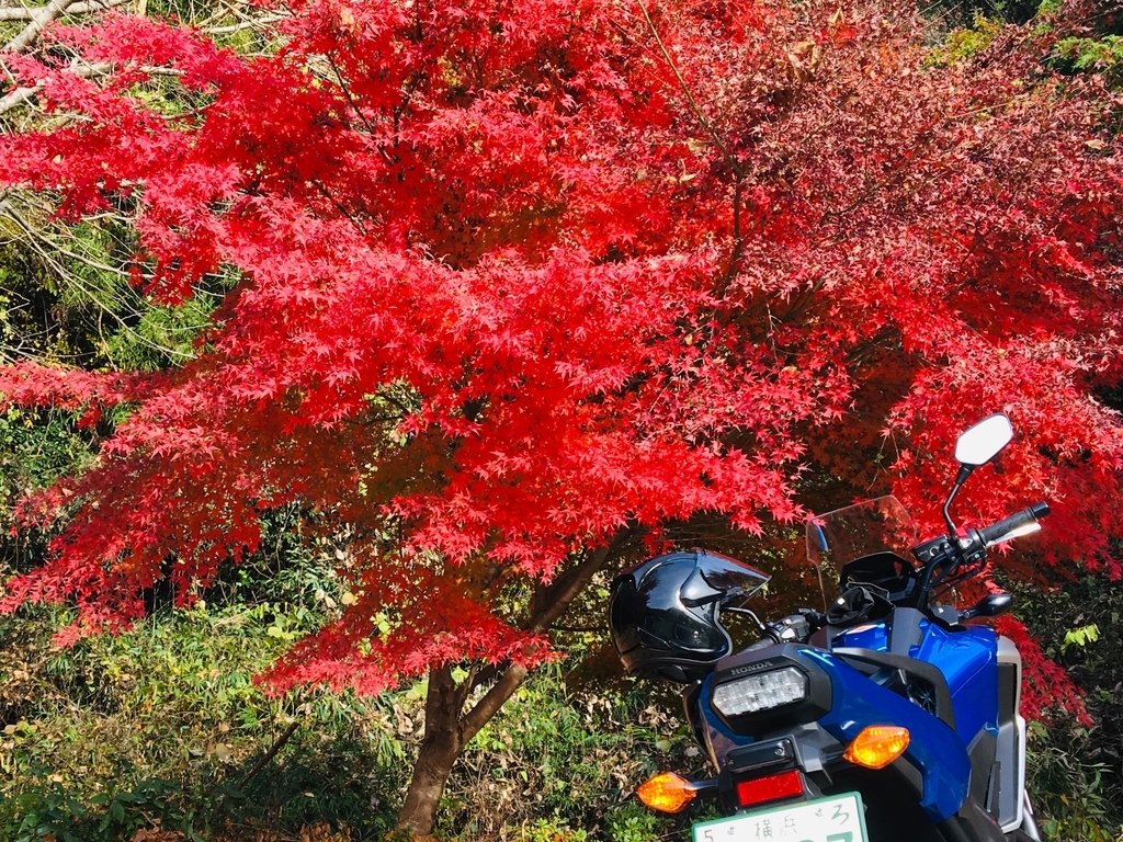 f:id:tsukifune77:20181126213509j:plain
