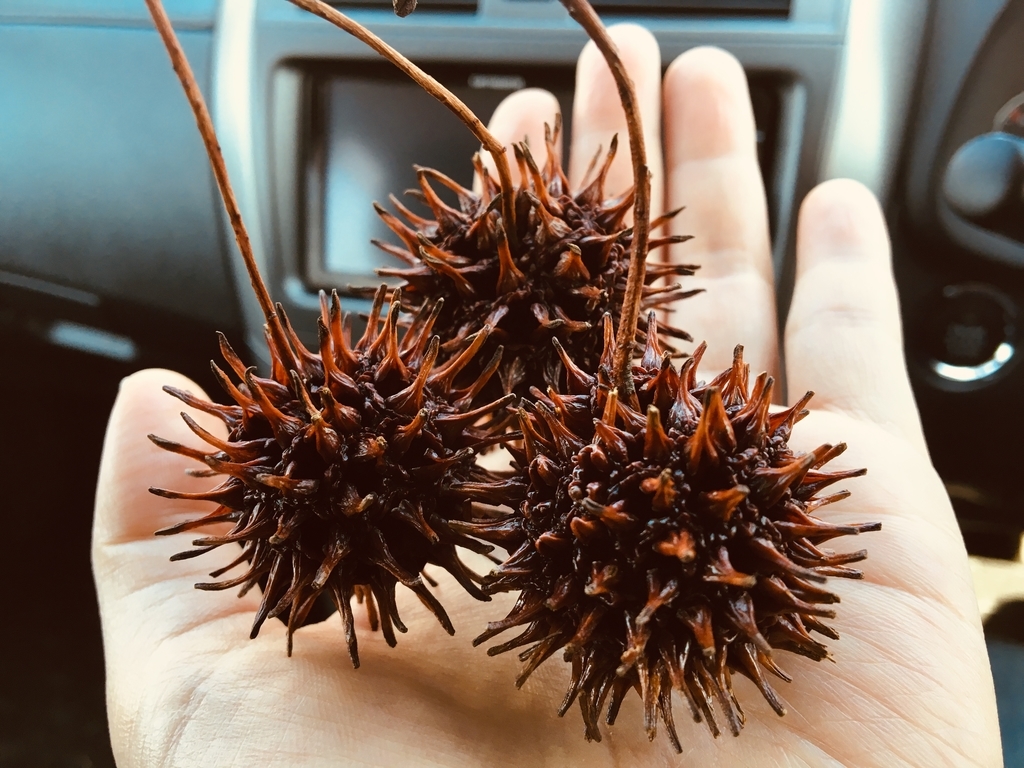 f:id:tsukifune77:20190305123943j:plain