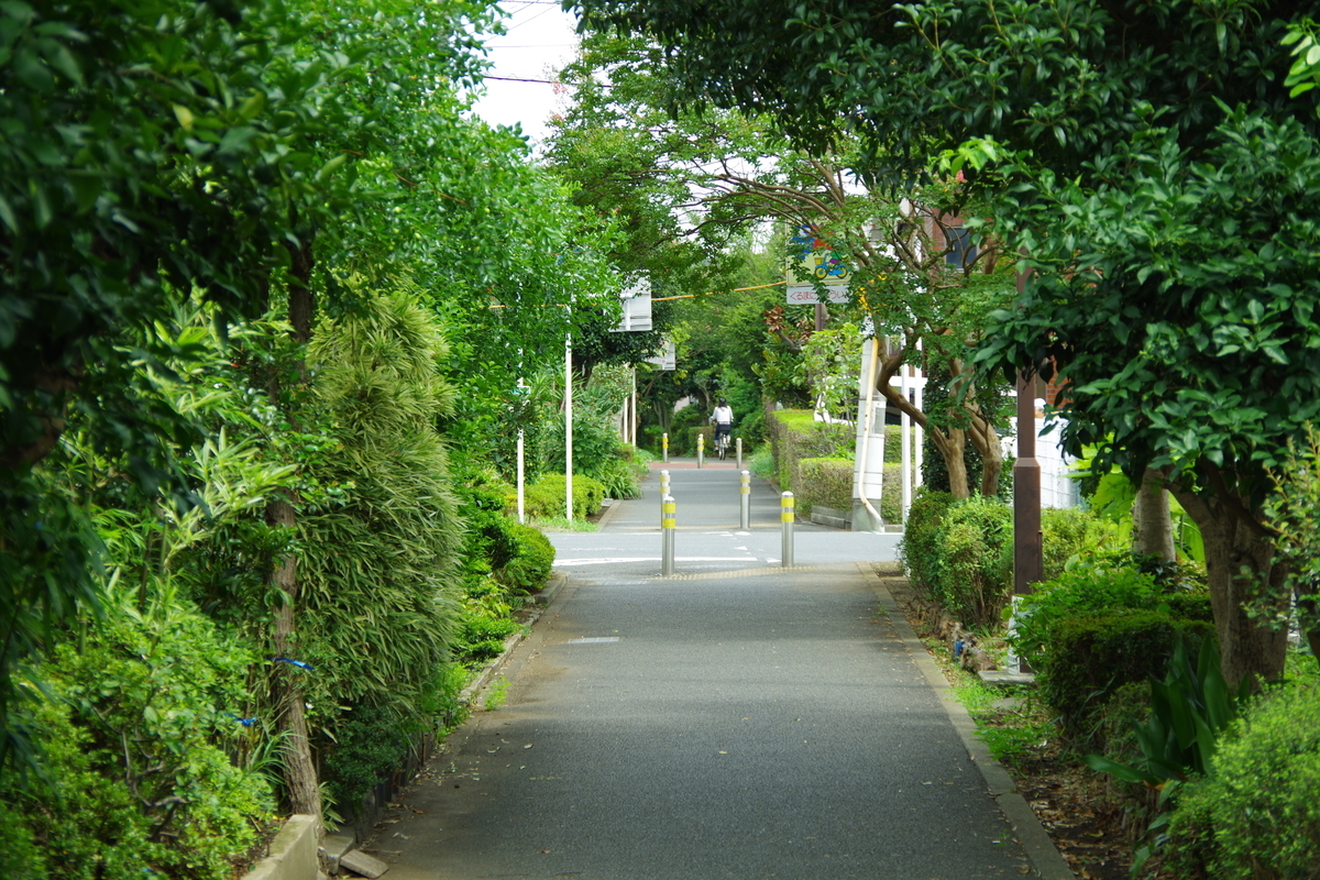 f:id:tsukifune77:20190822155617j:plain