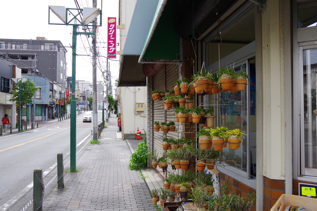 f:id:tsukifune77:20190822155743j:plain
