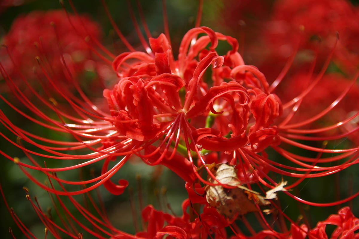 f:id:tsukifune77:20191002161528j:plain