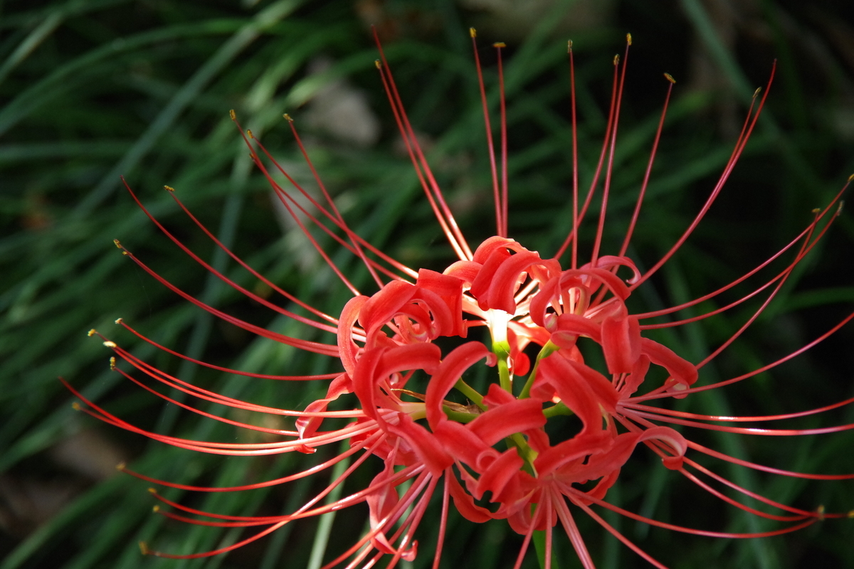 f:id:tsukifune77:20191002161615j:plain