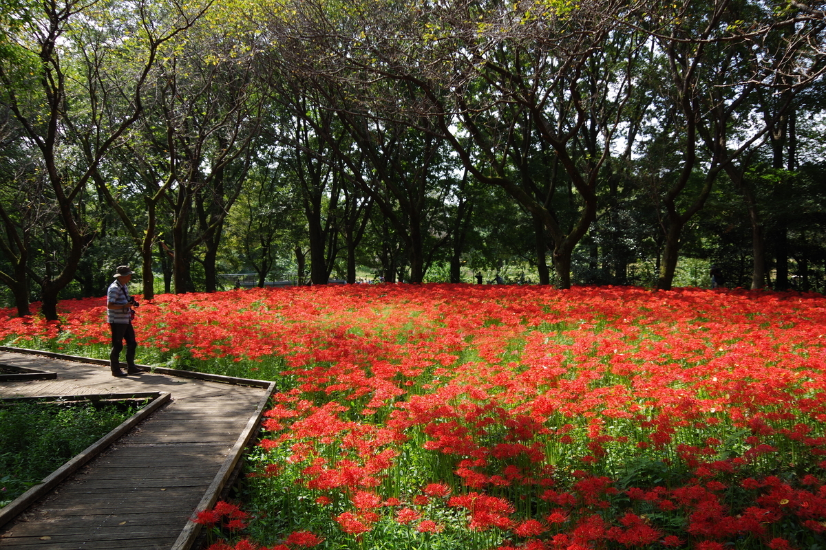 f:id:tsukifune77:20191002161754j:plain