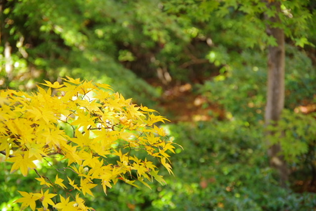 f:id:tsukifune77:20191121163555j:plain