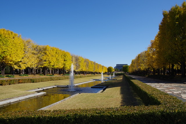 f:id:tsukifune77:20191121163749j:plain