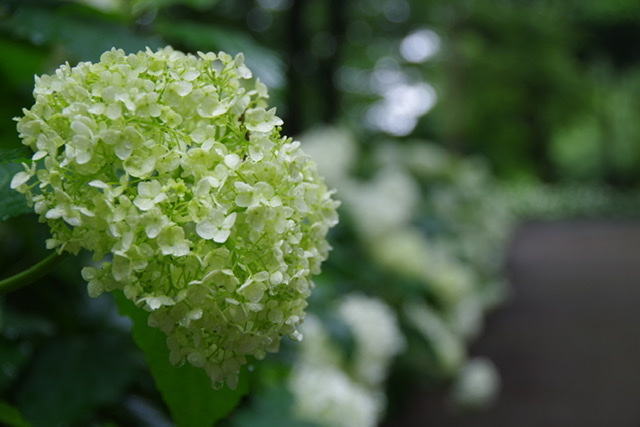 f:id:tsukifune77:20200620130257j:plain