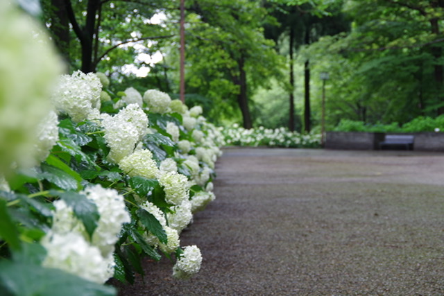 f:id:tsukifune77:20200620130319j:plain