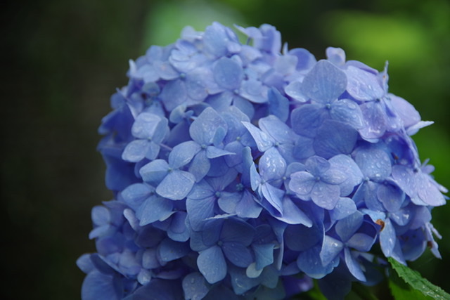 f:id:tsukifune77:20200620130643j:plain