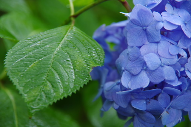 f:id:tsukifune77:20200620130720j:plain