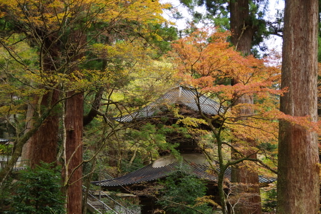 f:id:tsukifune77:20201124193402j:plain