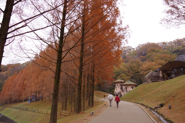 f:id:tsukifune77:20201203175904j:plain