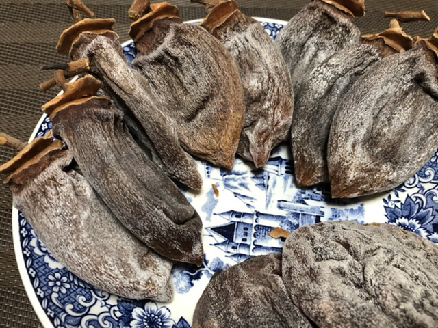 f:id:tsukifune77:20201205123418j:plain